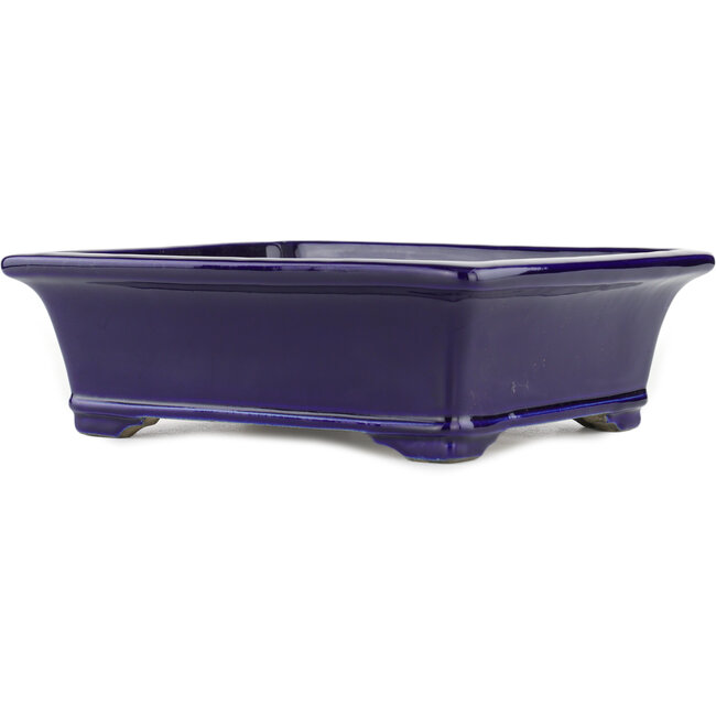 Maceta rectangular para bonsái azul de Terahata Satomi Mazan - 282 x 240 x 87 mm