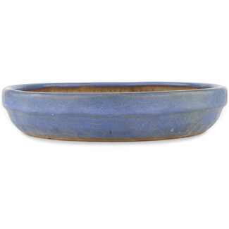  Other Tokoname bonsai pot makers Vaso blu da 212 mm proveniente da Tokoname, Giappone