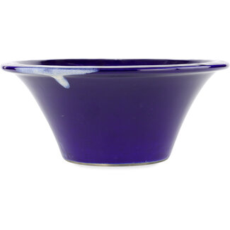  Satomi Mazan, Mazan Terahata 257 mm blaue Bonsaischale von Terahata Satomi Mazan, Tokoname, Japan
