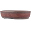 Oval unglazed bonsai pot by Bigei - 308 x 242 x 65 mm