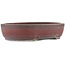 Oval unglazed bonsai pot by Bigei - 308 x 242 x 65 mm