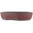 Oval unglazed bonsai pot by Bigei - 308 x 242 x 65 mm