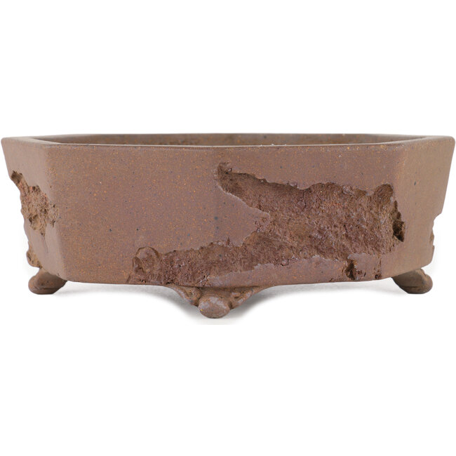 Vaso bonsai esagonale non smaltato di Yamaaki Koshosen (prima generazione) - 325 x 325 x 82 mm