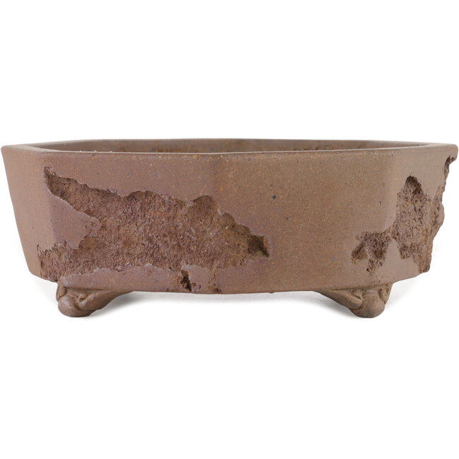 Vaso bonsai esagonale non smaltato di Yamaaki Koshosen (prima generazione) - 325 x 325 x 82 mm