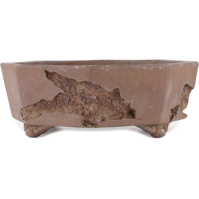 Vaso bonsai esagonale non smaltato di Yamaaki Koshosen (prima generazione) - 325 x 325 x 82 mm