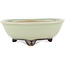 Round green bonsai pot by Heian Kosen - 100 x 100 x 30 mm