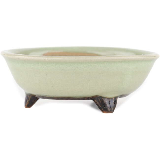 Maceta redonda para bonsái verde de Heian Kosen - 100 x 100 x 30 mm