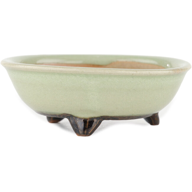 Vaso bonsai rotondo verde di Heian Kosen - 100 x 100 x 30 mm