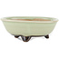 Round green bonsai pot by Heian Kosen - 100 x 100 x 30 mm