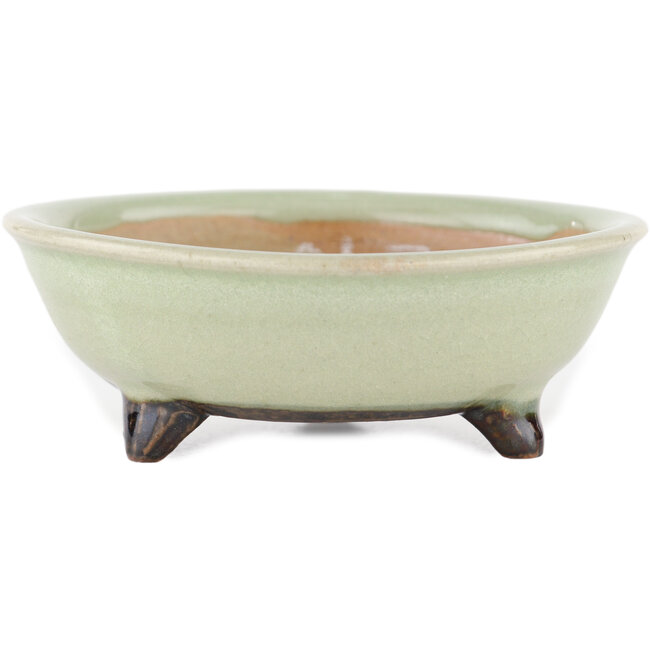 Maceta redonda para bonsái verde de Heian Kosen - 100 x 100 x 30 mm