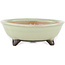 Round green bonsai pot by Heian Kosen - 100 x 100 x 30 mm