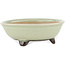 Round green bonsai pot by Heian Kosen - 100 x 100 x 30 mm