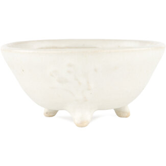 Heian Chikuzan 115 mm weißer Bonsaitopf von Heian Kosen, Kyoto, Japan