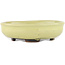 Round yellow bonsai pot by Heian Kosen - 115 x 115 x 30 mm