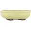 Round yellow bonsai pot by Heian Kosen - 115 x 115 x 30 mm