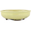 Round yellow bonsai pot by Heian Kosen - 115 x 115 x 30 mm