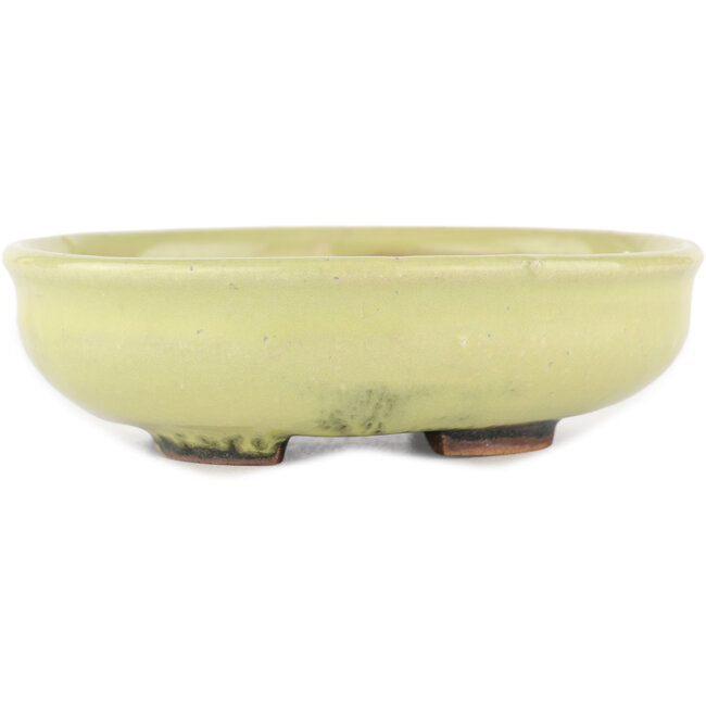 Round yellow bonsai pot by Heian Kosen - 115 x 115 x 30 mm