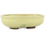 Round yellow bonsai pot by Heian Kosen - 115 x 115 x 30 mm