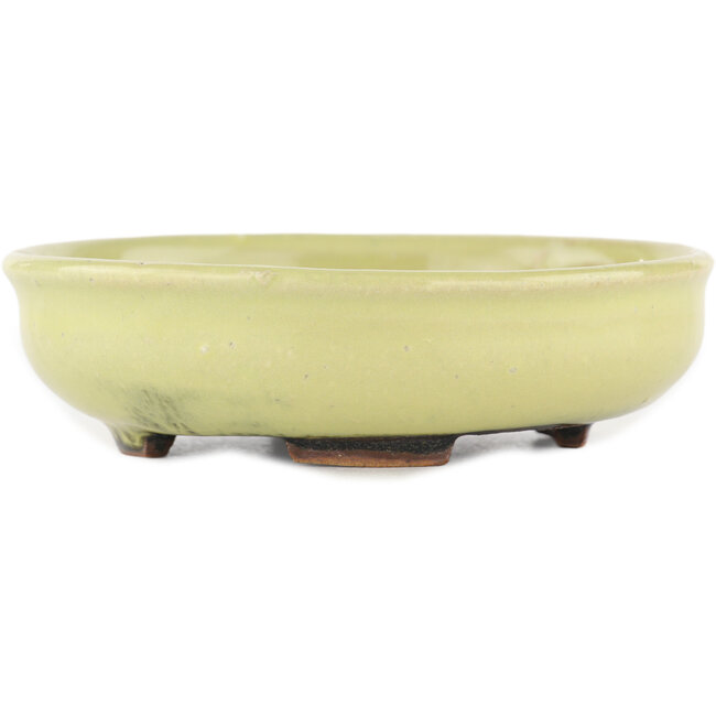 Round yellow bonsai pot by Heian Kosen - 115 x 115 x 30 mm