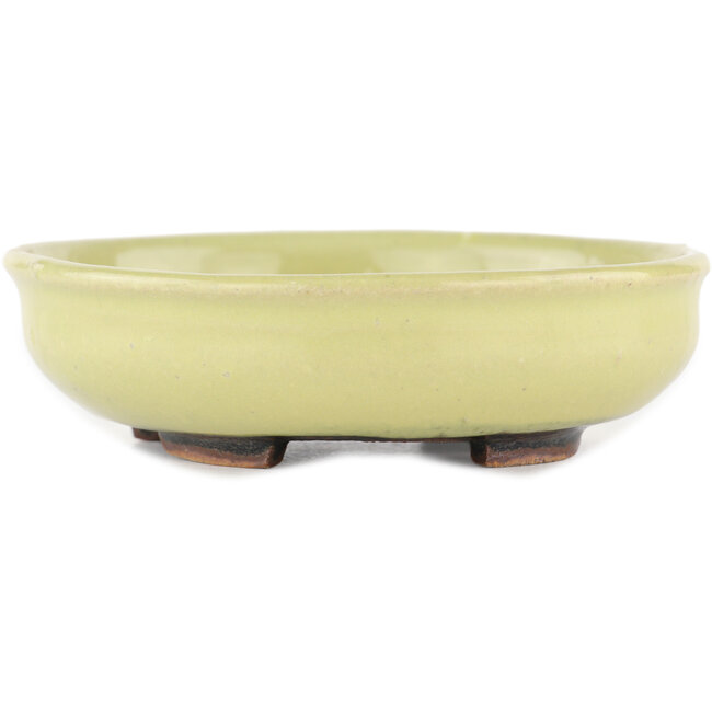 Round yellow bonsai pot by Heian Kosen - 115 x 115 x 30 mm