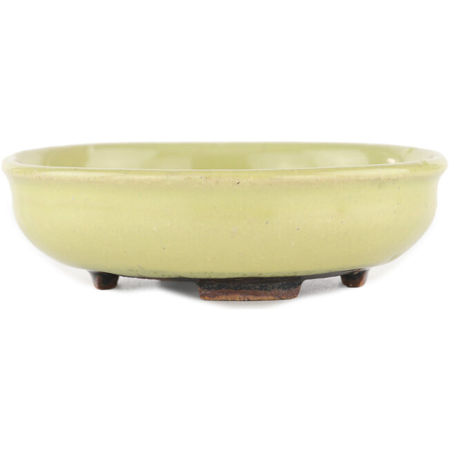 Vaso bonsai rotondo giallo di Heian Kosen - 115 x 115 x 30 mm