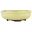 Round yellow bonsai pot by Heian Kosen - 115 x 115 x 30 mm