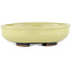 Round yellow bonsai pot by Heian Kosen - 115 x 115 x 30 mm