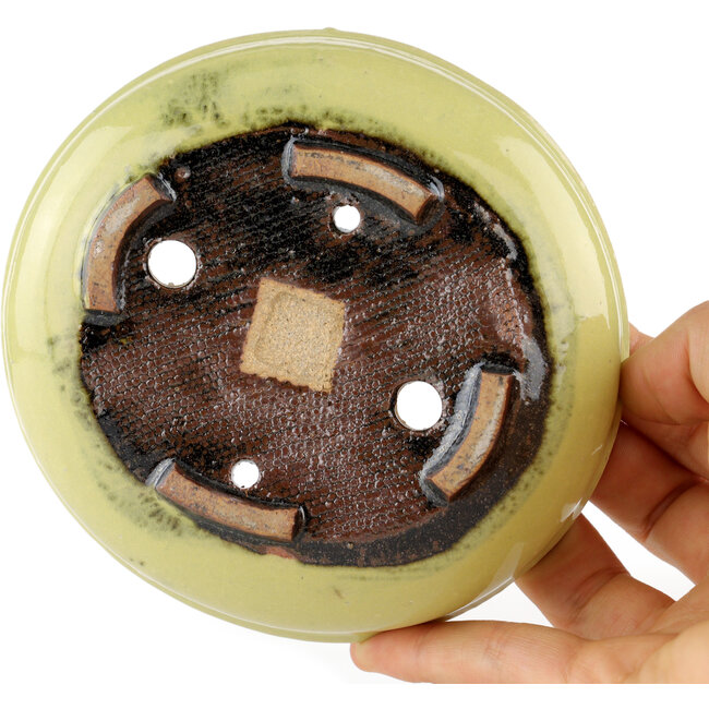 Round yellow bonsai pot by Heian Kosen - 115 x 115 x 30 mm
