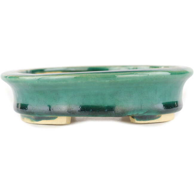 Maceta ovalada para bonsái verde de Heian Kosen - 156 x 134 x 30 mm