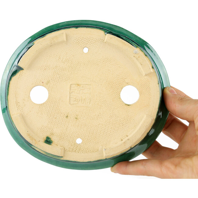 Vaso bonsai ovale verde di Heian Kosen - 156 x 134 x 30 mm