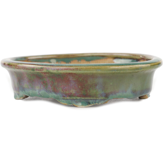Maceta ovalada para bonsái multicolor de Heian Kosen - 150 x 131 x 32 mm