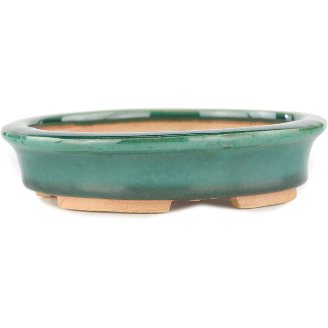 Vaso bonsai ovale verde di Heian Kosen - 146 x 130 x 32 mm