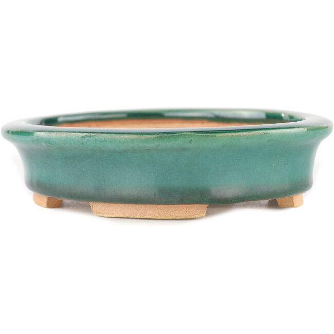 Maceta ovalada para bonsái verde de Heian Kosen - 146 x 130 x 32 mm