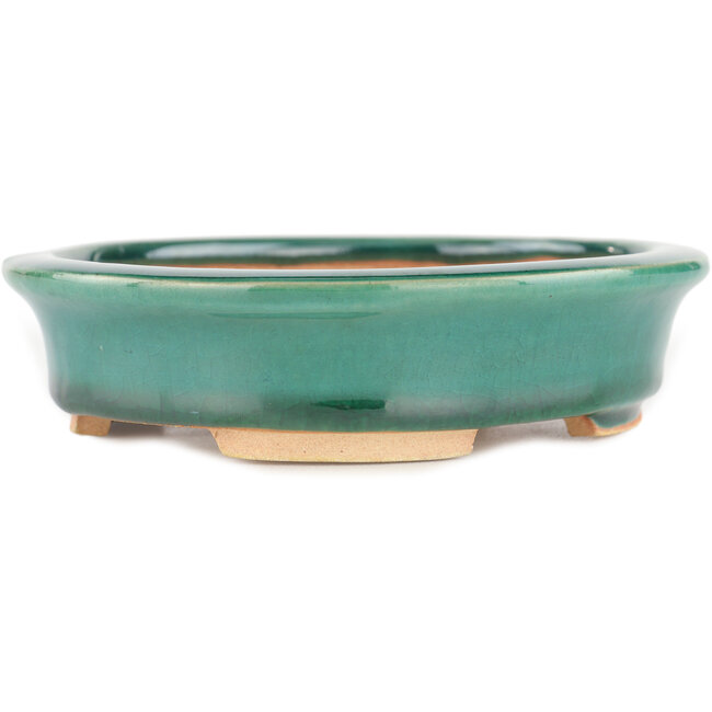 Maceta ovalada para bonsái verde de Heian Kosen - 146 x 130 x 32 mm