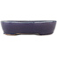 Oval blue bonsai pot by Heian Kosen - 164 x 138 x 34 mm