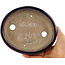Ovaler blauer Bonsaitopf von Heian Kosen – 164 x 138 x 34 mm