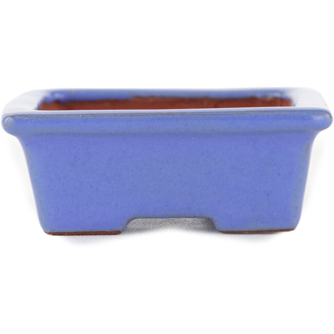 Maceta rectangular para bonsái azul de Ikkou - 80 x 62 x 24 mm