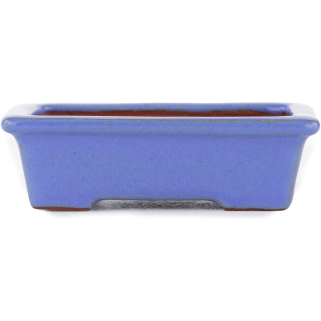 Maceta rectangular para bonsái azul de Ikkou - 80 x 62 x 24 mm