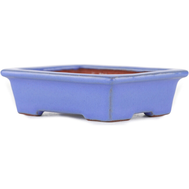 Maceta rectangular para bonsái azul de Ikkou - 80 x 62 x 24 mm