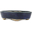 Oval blue bonsai pot by Echizen - 150 x 115 x 30 mm