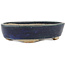 Oval blue bonsai pot by Echizen - 150 x 115 x 30 mm