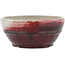 Vaso bonsai rotondo rosso di Koyou - 115 x 115 x 50 mm