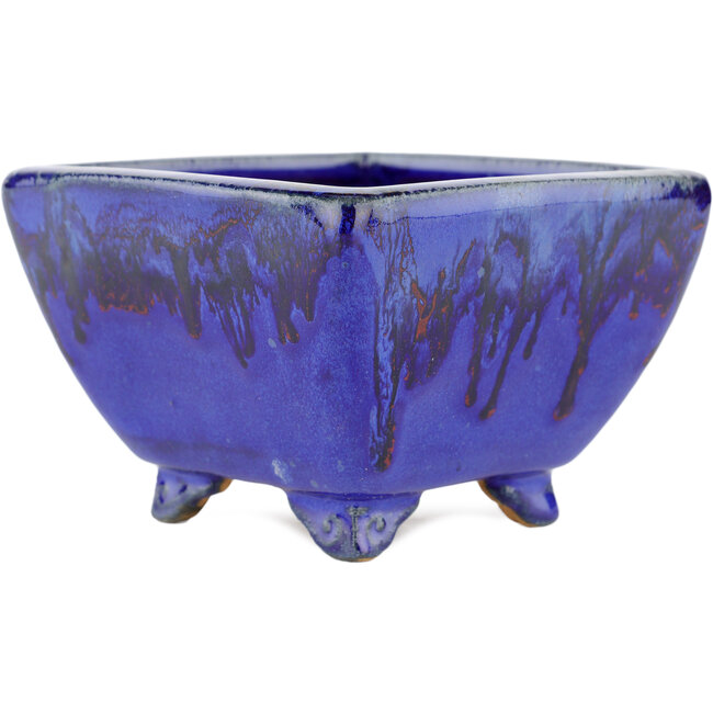 Pot à bonsaï carré bleu - 125 x 125 x 85 mm