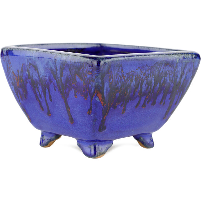 Pot à bonsaï carré bleu - 125 x 125 x 85 mm