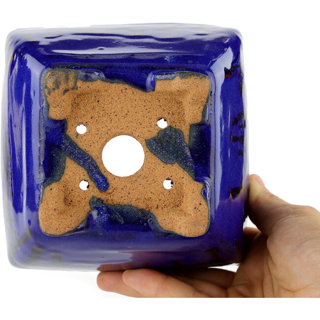Maceta para bonsái cuadrada azul - 125 x 125 x 85 mm