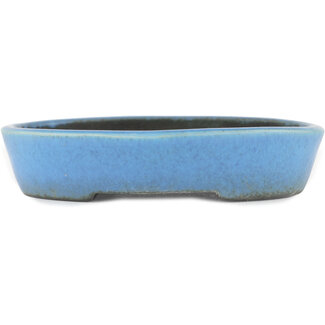 Koyo - Koichirou Aiba  Pot à bonsaï bleu 153 mm par Koyou, Tokoname, Japon