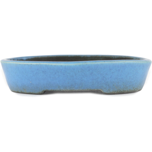 Pot à bonsaï ovale bleu par Koyou - 153 x 124 x 29 mm