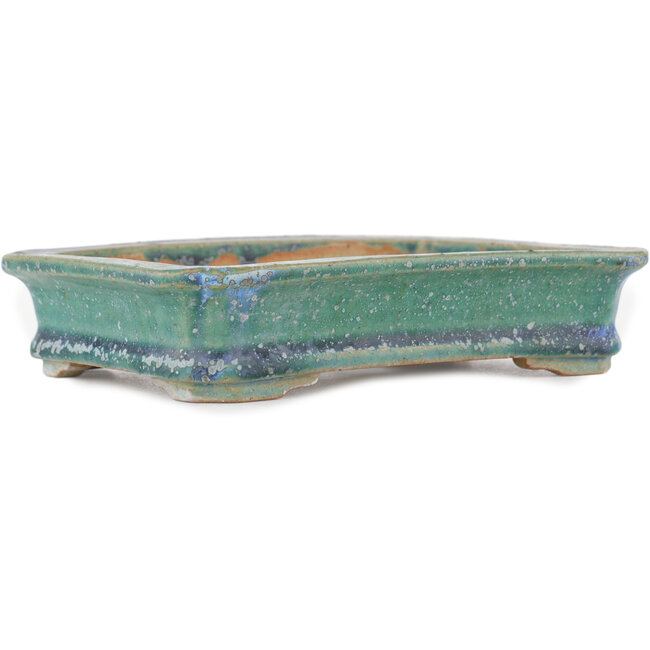 Maceta rectangular para bonsái verde de Koyou - 166 x 118 x 32 mm