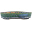 Oval green bonsai pot by Koyou - 184 x 145 x 34 mm