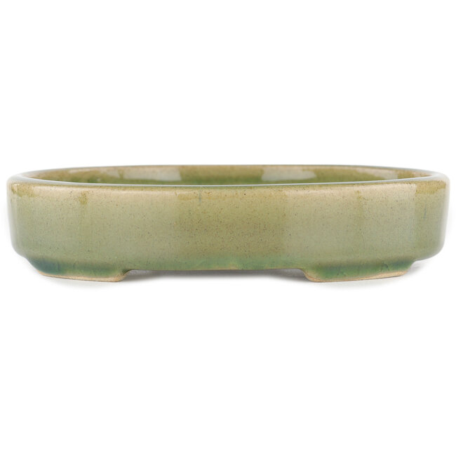 Oval green bonsai pot - 168 x 143 x 32 mm